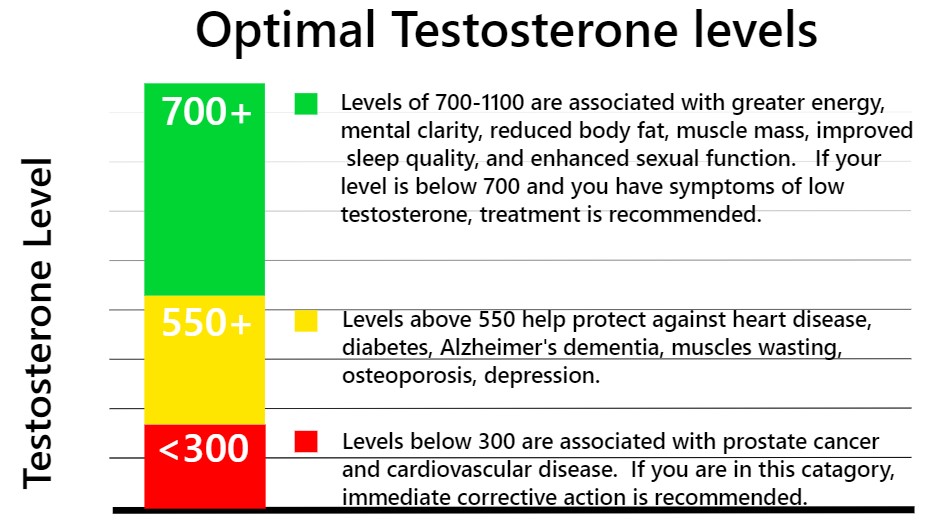 Testosterone Graph